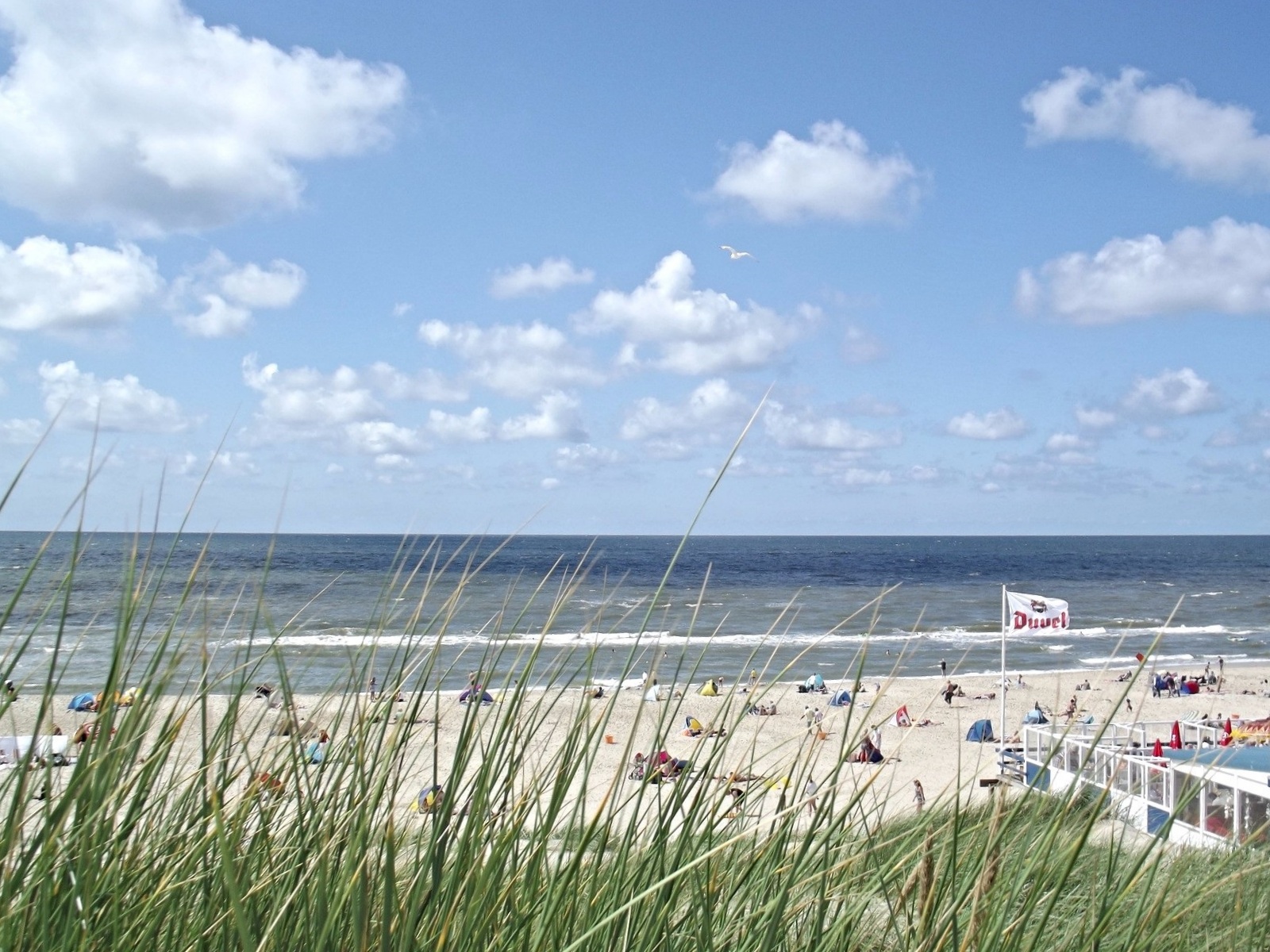Callantsoog strand